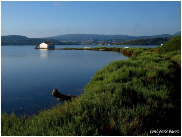 Ses salines.