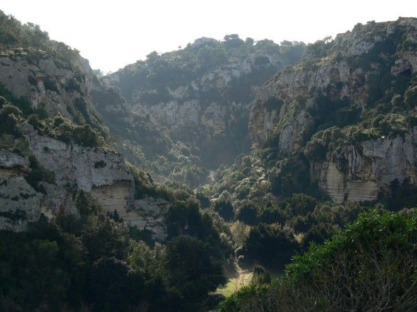 Barranc d'Algendar