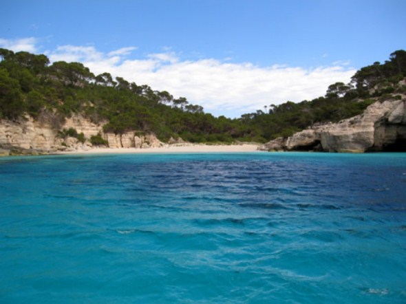 Macarelleta