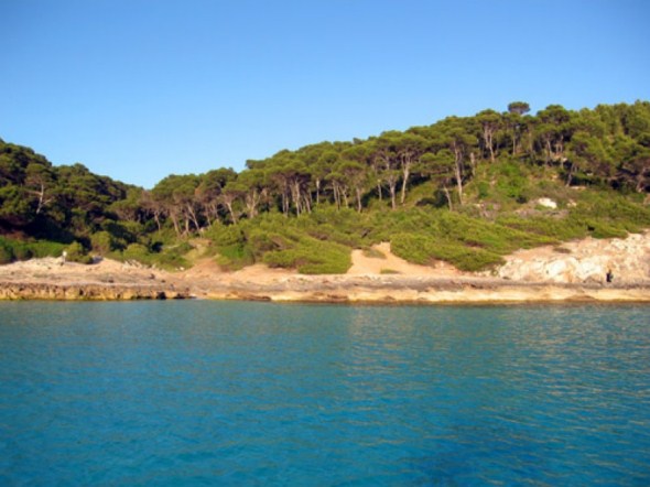Pinares de Trebaluger