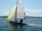 WindFornells